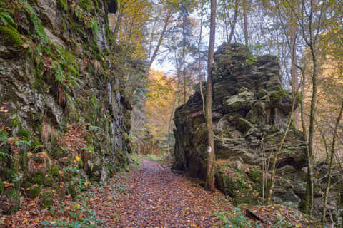 Gemeinde Obernzell Landkreis Passau Erlau Erlautal Felsdurchbruch Herbst (Dirschl Johann) Deutschland PA